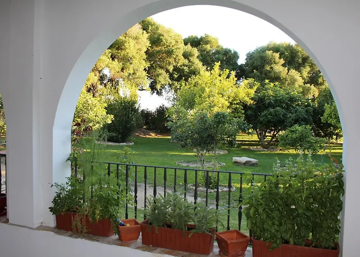 Cortijo El Indiviso