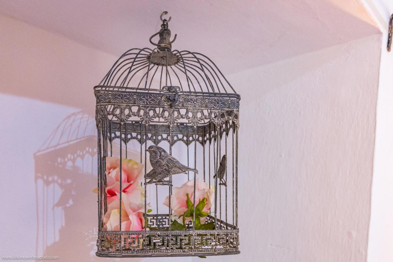 Cortijo El Indiviso Country house