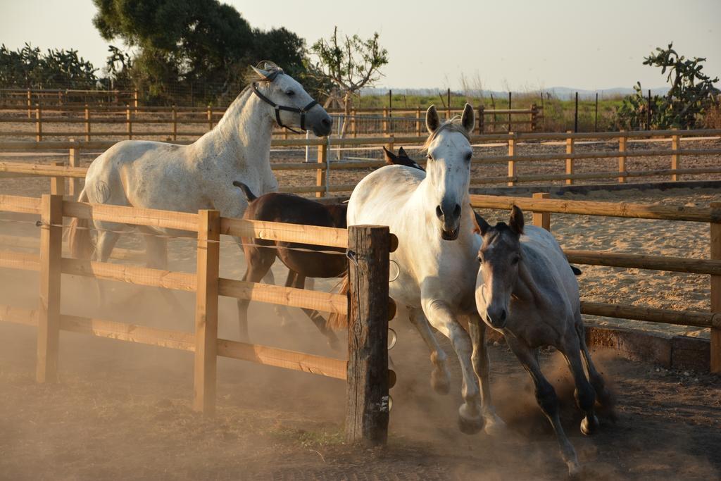 Cortijo El Indiviso Country house *