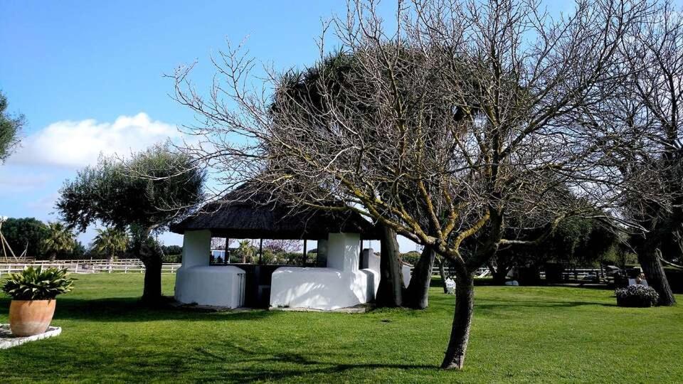 Cortijo El Indiviso * Vejer de la Frontera